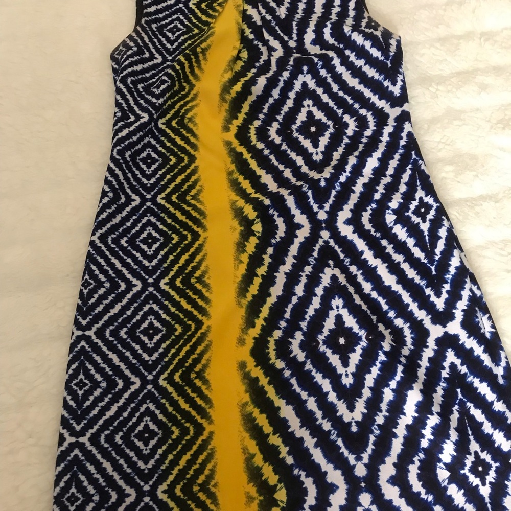 ILE New York Multicolored Dress